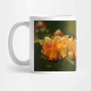 Warm Glow of Spring ~ Pancho Villa State Park, Columbus, NM Mug